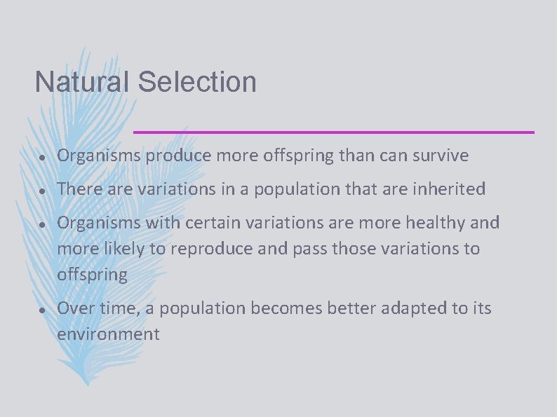 Natural Selection Organisms produce more offspring than can survive There are variations in a