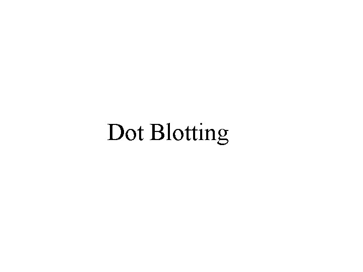 Dot Blotting 