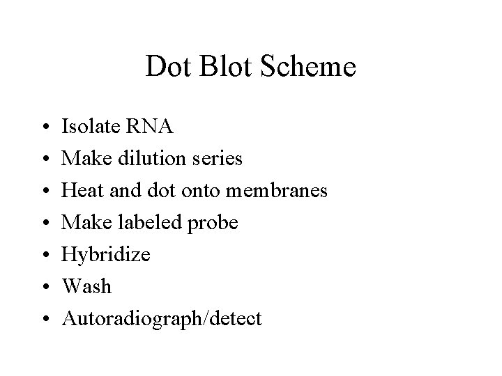 Dot Blot Scheme • • Isolate RNA Make dilution series Heat and dot onto