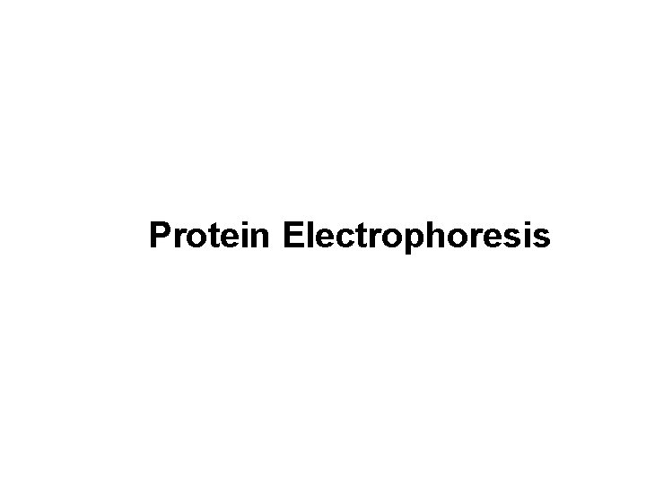 Protein Electrophoresis 