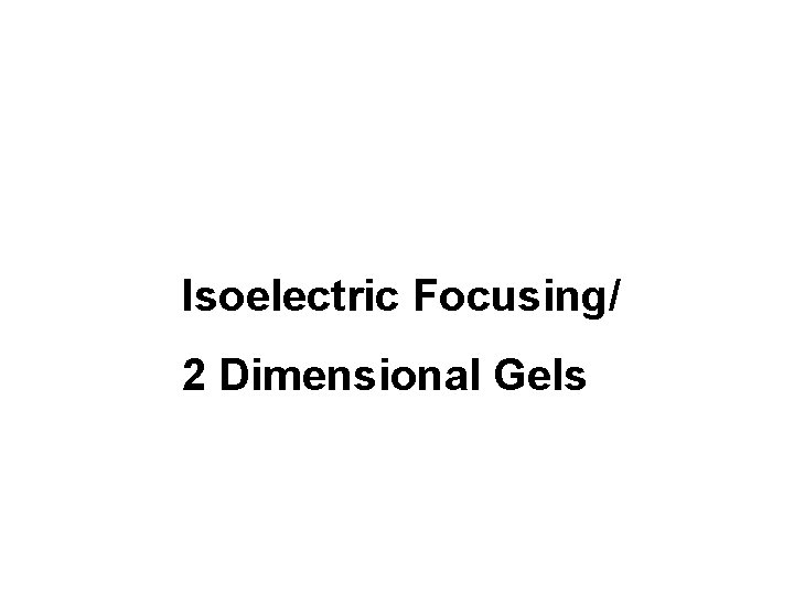 Isoelectric Focusing/ 2 Dimensional Gels 