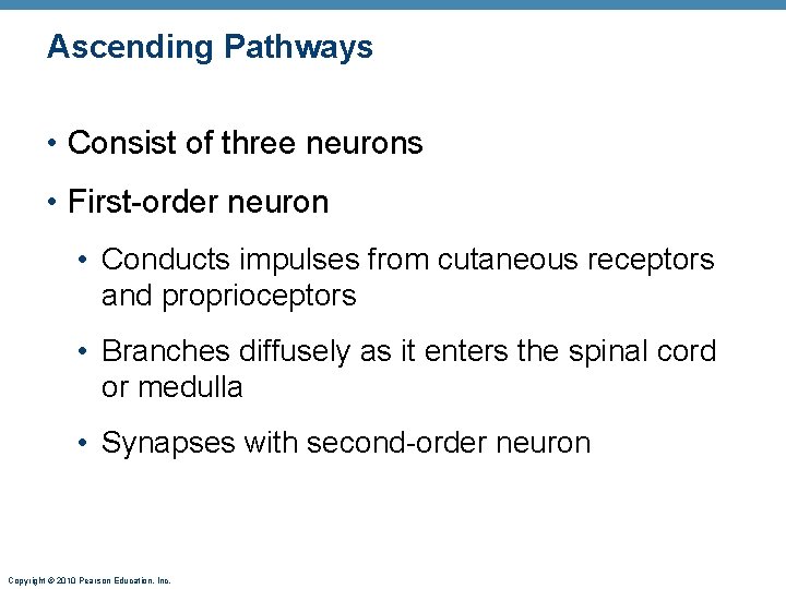 Ascending Pathways • Consist of three neurons • First-order neuron • Conducts impulses from