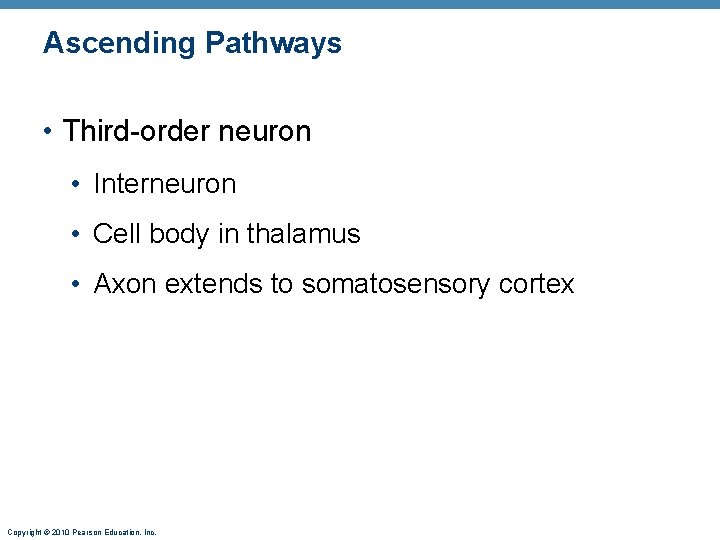 Ascending Pathways • Third-order neuron • Interneuron • Cell body in thalamus • Axon