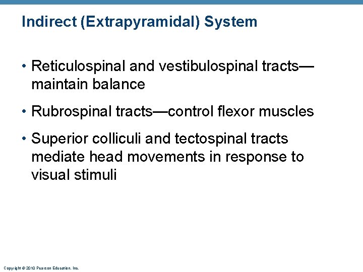 Indirect (Extrapyramidal) System • Reticulospinal and vestibulospinal tracts— maintain balance • Rubrospinal tracts—control flexor