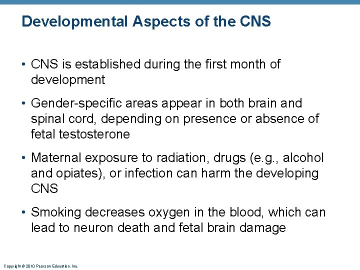 Developmental Aspects of the CNS • CNS is established during the first month of