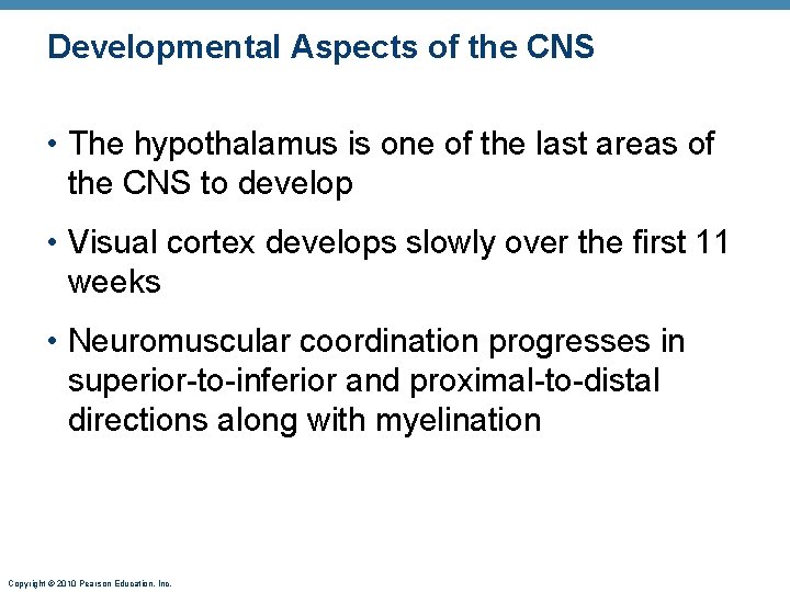 Developmental Aspects of the CNS • The hypothalamus is one of the last areas
