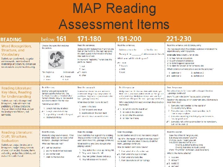 MAP Reading Assessment Items 
