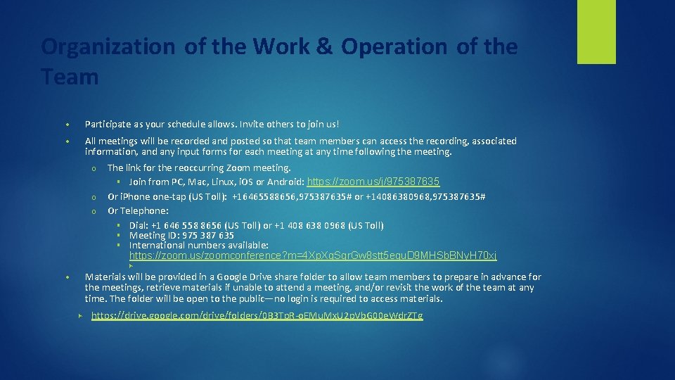 Organization of the Work & Operation of the Team Participate as your schedule allows.