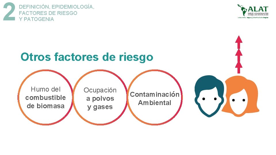 2 DEFINICIÓN, EPIDEMIOLOGÍA, FACTORES DE RIESGO Y PATOGENIA Otros factores de riesgo Humo del