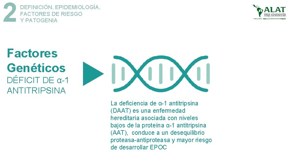2 DEFINICIÓN, EPIDEMIOLOGÍA, FACTORES DE RIESGO Y PATOGENIA Factores Genéticos DÉFICIT DE α-1 ANTITRIPSINA