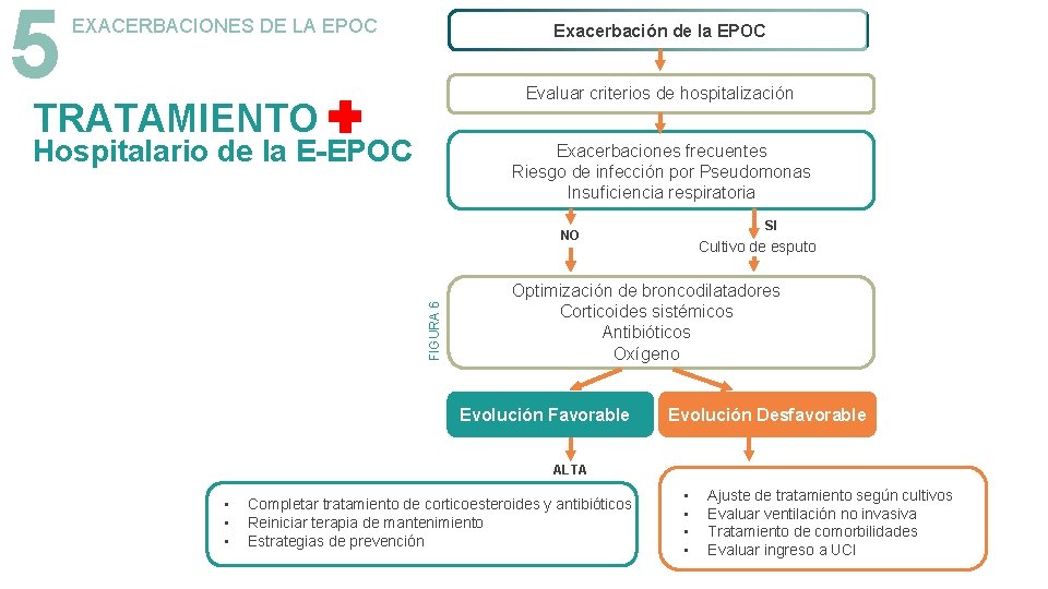 5 EXACERBACIONES DE LA EPOC Exacerbación de la EPOC Evaluar criterios de hospitalización TRATAMIENTO