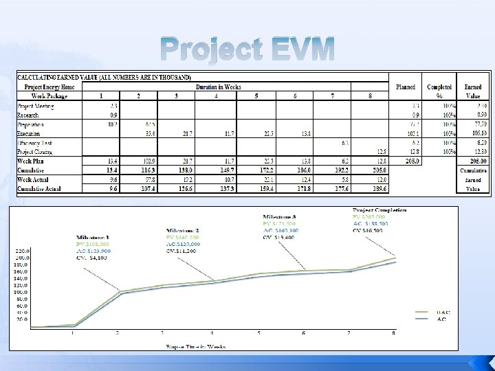 Project EVM 