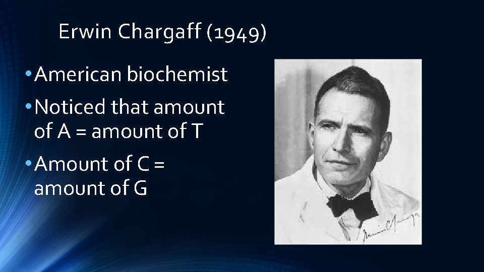 Erwin Chargaff (1949) • American biochemist • Noticed that amount of A = amount