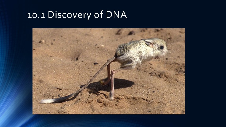 10. 1 Discovery of DNA 
