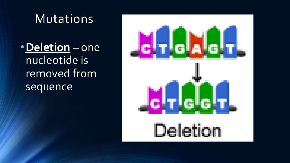 Mutations • Deletion – one nucleotide is removed from sequence 