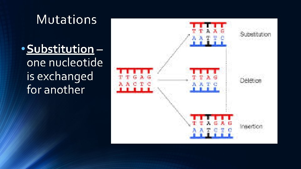 Mutations • Substitution – one nucleotide is exchanged for another 