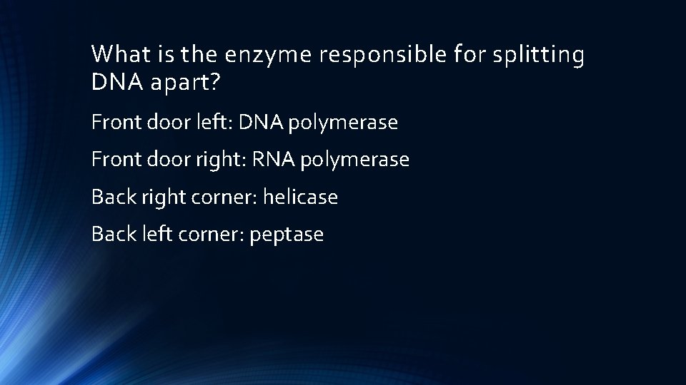 What is the enzyme responsible for splitting DNA apart? Front door left: DNA polymerase
