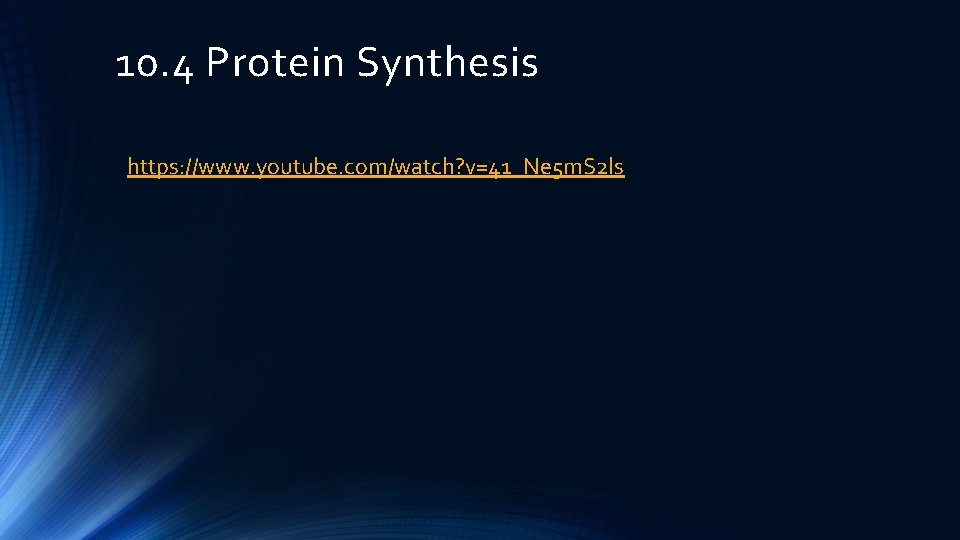 10. 4 Protein Synthesis https: //www. youtube. com/watch? v=41_Ne 5 m. S 2 ls