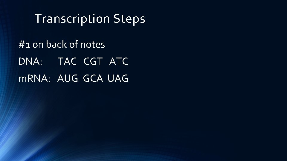 Transcription Steps #1 on back of notes DNA: TAC CGT ATC m. RNA: AUG
