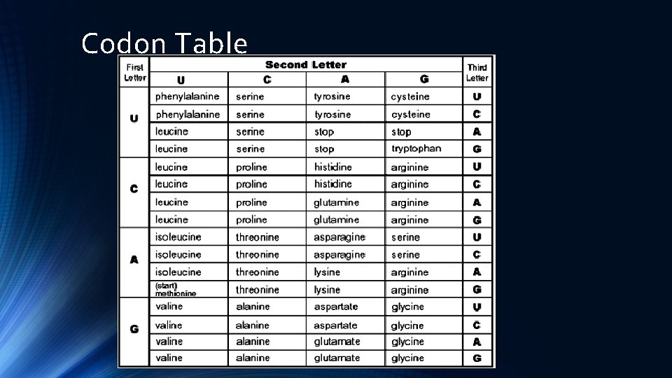 Codon Table 