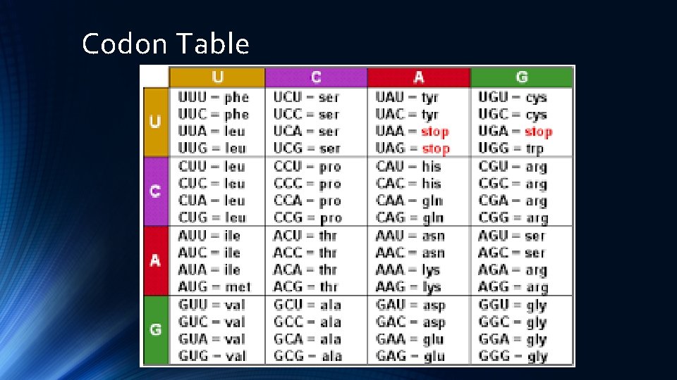 Codon Table 