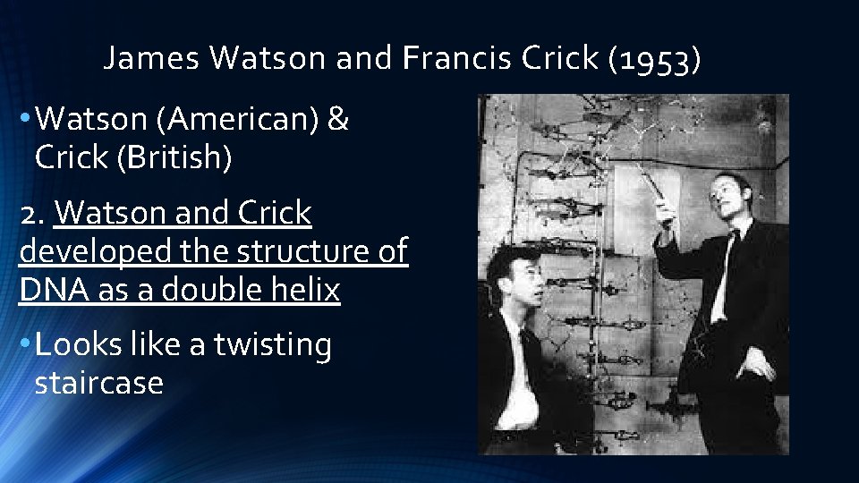 James Watson and Francis Crick (1953) • Watson (American) & Crick (British) 2. Watson