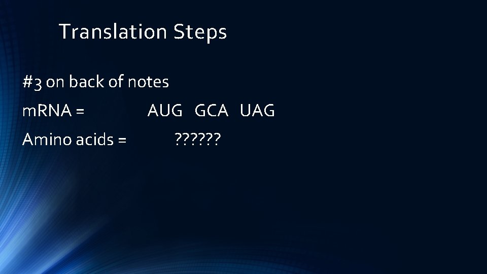 Translation Steps #3 on back of notes m. RNA = Amino acids = AUG