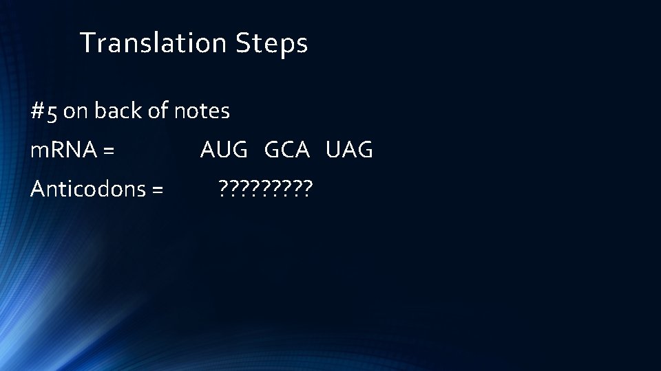 Translation Steps #5 on back of notes m. RNA = Anticodons = AUG GCA