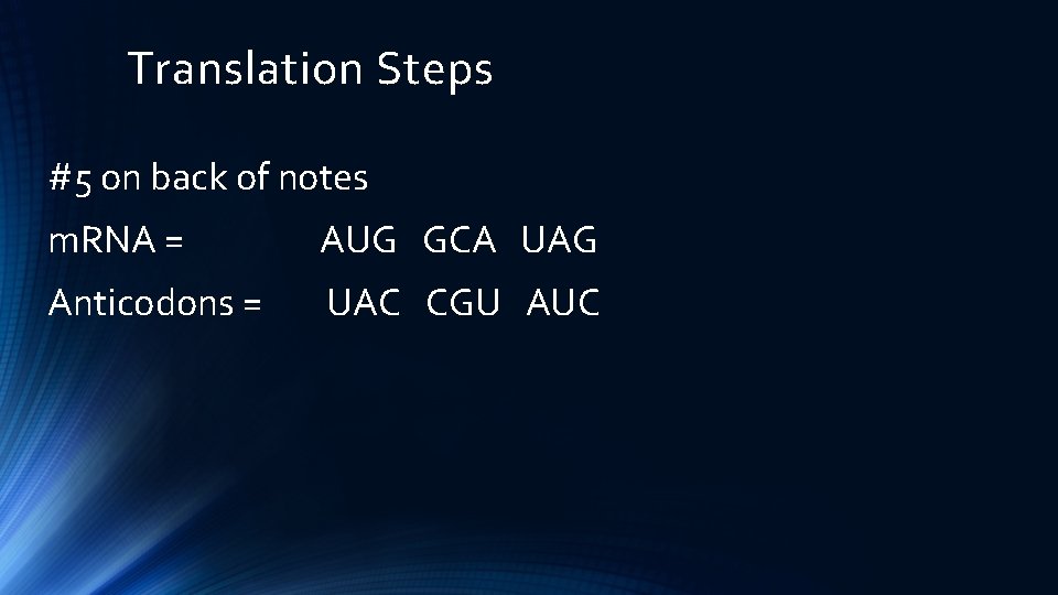 Translation Steps #5 on back of notes m. RNA = AUG GCA UAG Anticodons