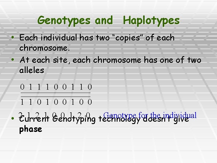 Genotypes and Haplotypes • Each individual has two “copies” of each chromosome. • At