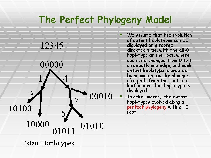The Perfect Phylogeny Model § We assume that the evolution 12345 00000 1 4