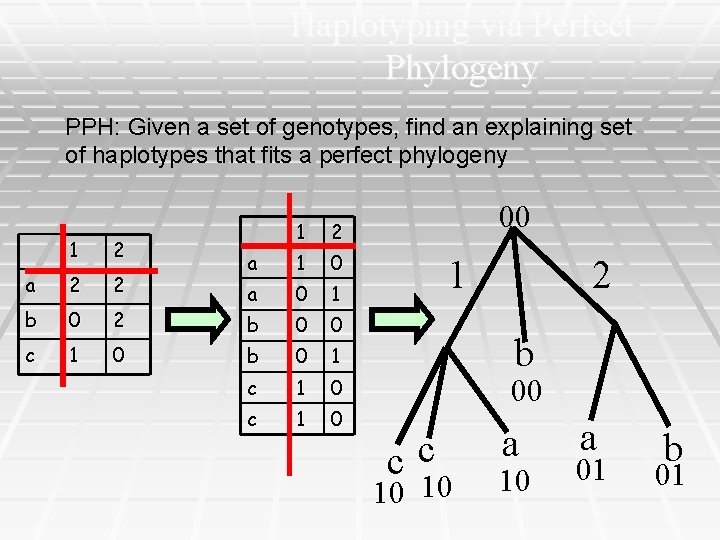 Haplotyping via Perfect Phylogeny PPH: Given a set of genotypes, find an explaining set
