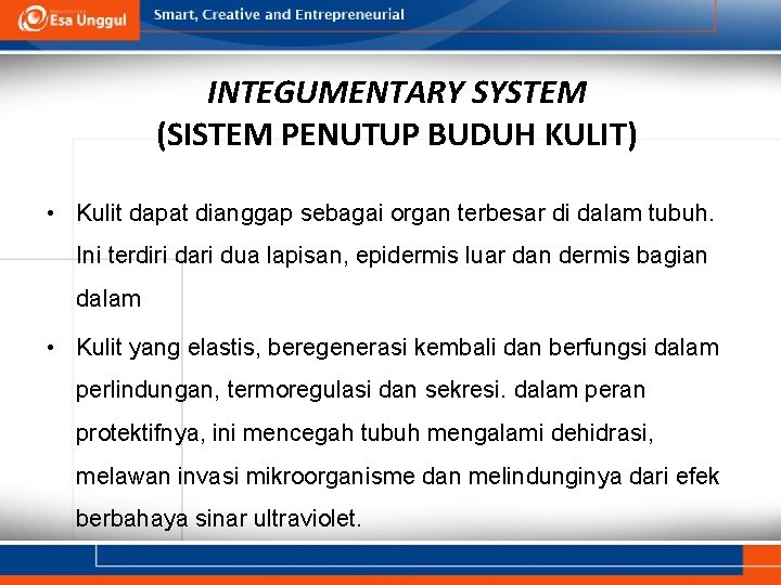 INTEGUMENTARY SYSTEM (SISTEM PENUTUP BUDUH KULIT) • Kulit dapat dianggap sebagai organ terbesar di