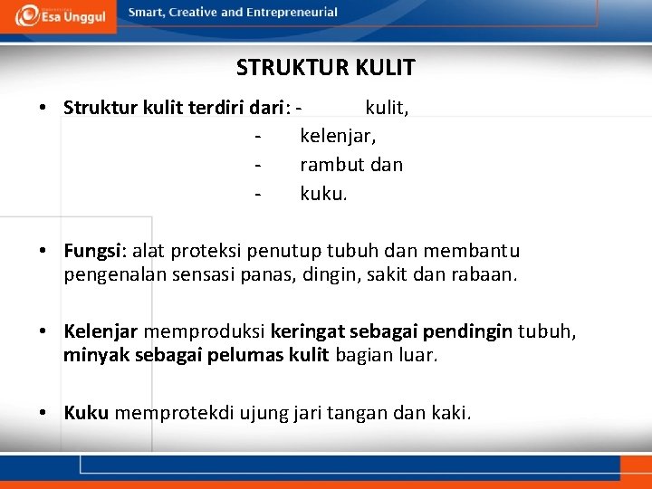 STRUKTUR KULIT • Struktur kulit terdiri dari: kulit, kelenjar, rambut dan kuku. • Fungsi: