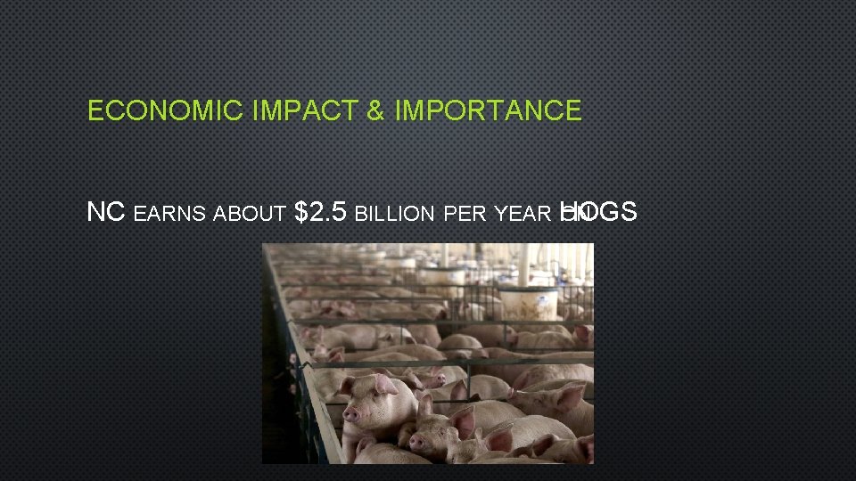 ECONOMIC IMPACT & IMPORTANCE NC EARNS ABOUT $2. 5 BILLION PER YEAR HOGS ON