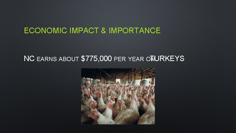 ECONOMIC IMPACT & IMPORTANCE NC EARNS ABOUT $775, 000 PER YEAR ON TURKEYS 
