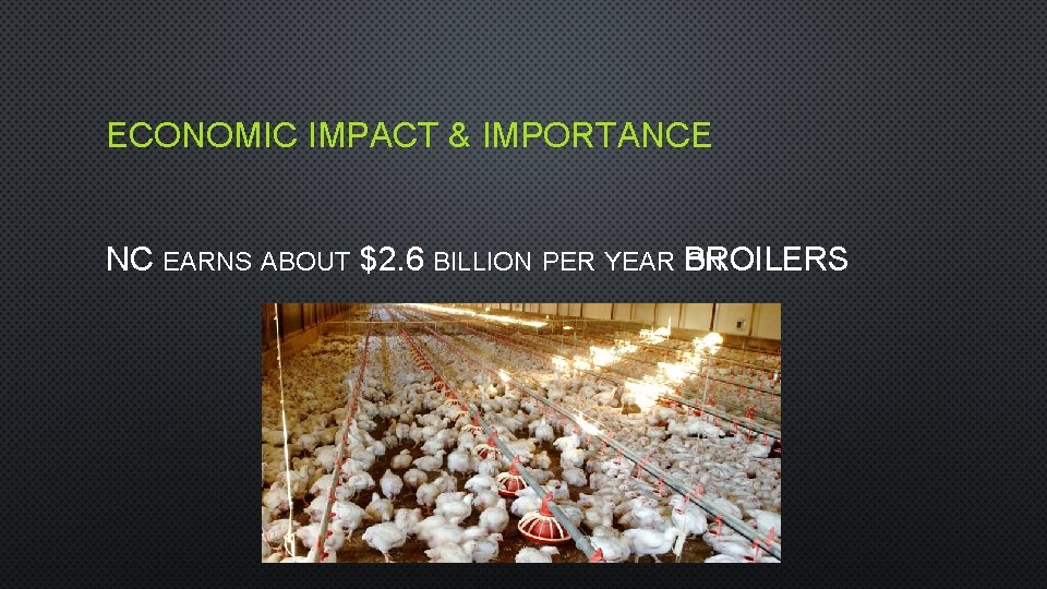 ECONOMIC IMPACT & IMPORTANCE NC EARNS ABOUT $2. 6 BILLION PER YEAR BROILERS ON