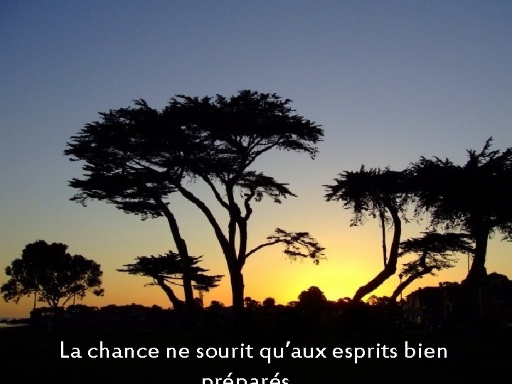 La chance ne sourit qu’aux esprits bien 