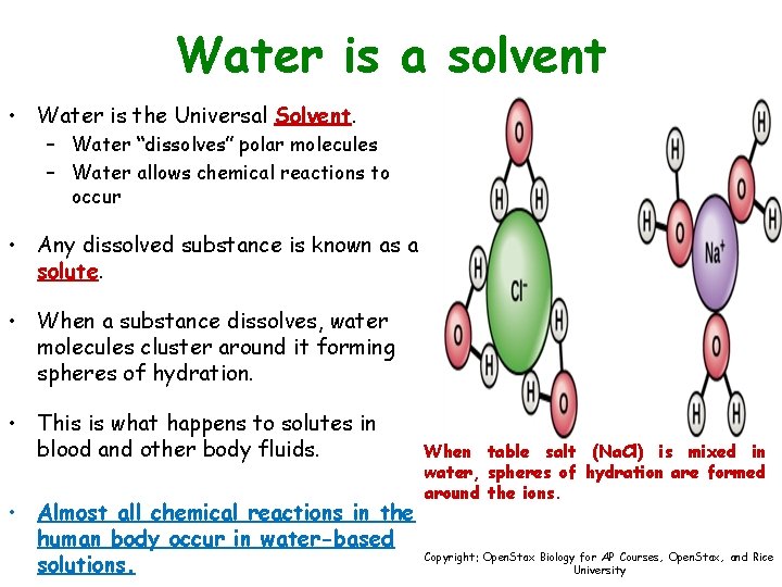 Water is a solvent • Water is the Universal Solvent. – Water “dissolves” polar