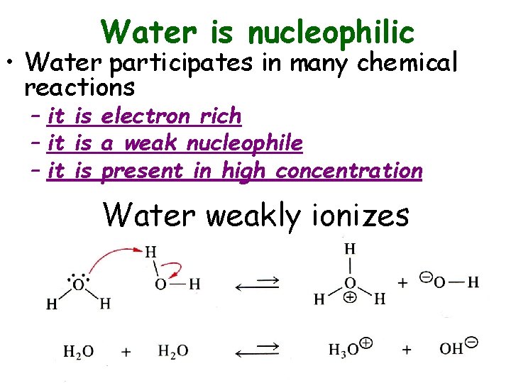 Water is nucleophilic • Water participates in many chemical reactions – it is electron