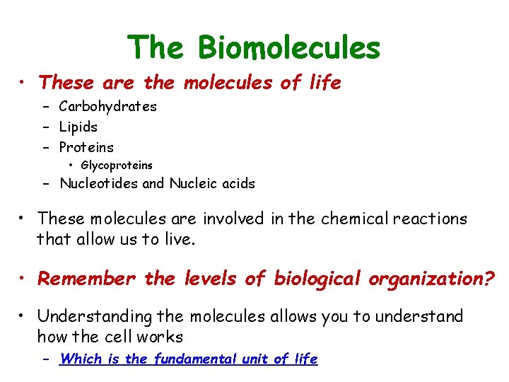 The Biomolecules • These are the molecules of life – Carbohydrates – Lipids –