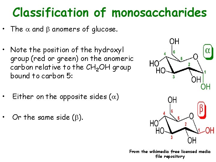 Classification of monosaccharides • The and b anomers of glucose. • Note the position