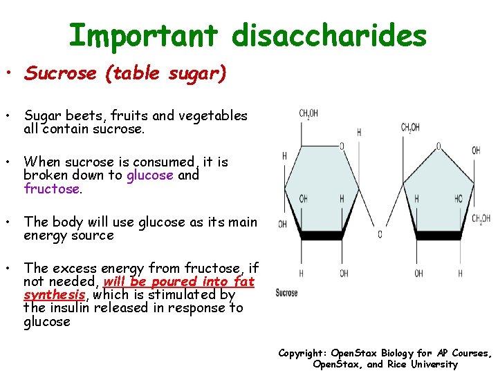 Important disaccharides • Sucrose (table sugar) • Sugar beets, fruits and vegetables all contain