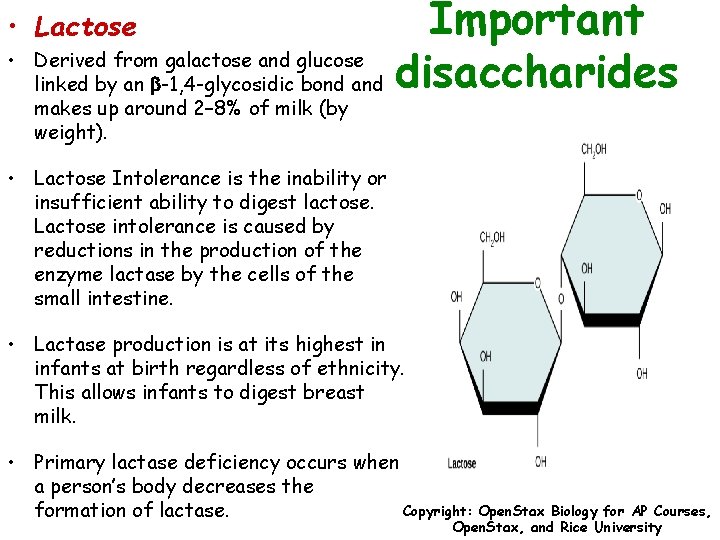 Important Derived from galactose and glucose linked by an b-1, 4 -glycosidic bond and