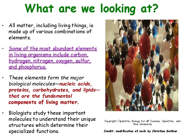 What are we looking at? • All matter, including living things, is made up