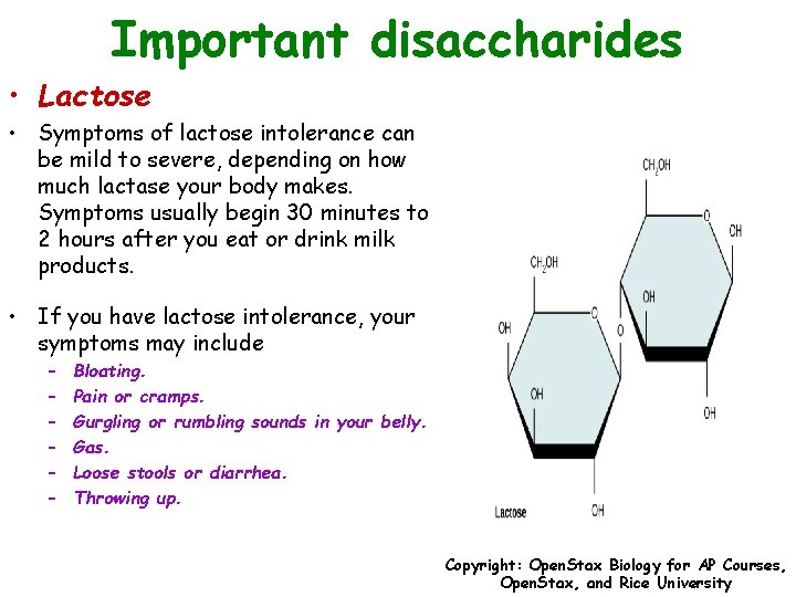 Important disaccharides • Lactose • Symptoms of lactose intolerance can be mild to severe,