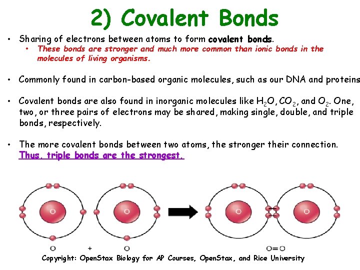 2) Covalent Bonds • Sharing of electrons between atoms to form covalent bonds. •