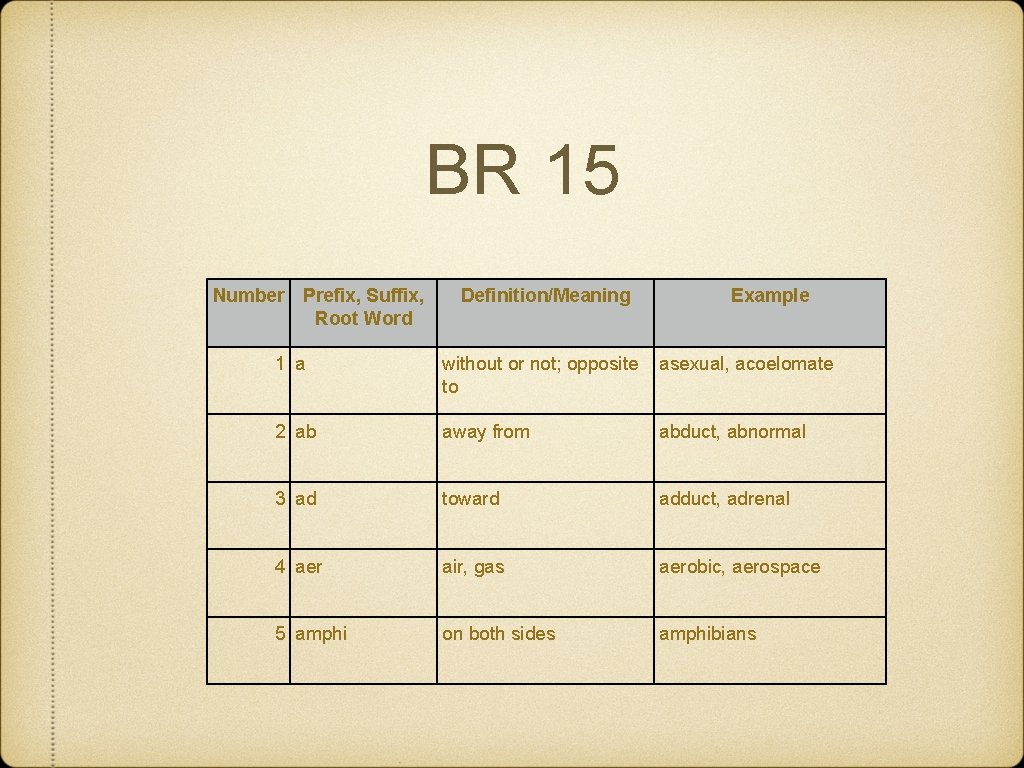 BR 15 Number Prefix, Suffix, Root Word Definition/Meaning Example 1 a without or not;