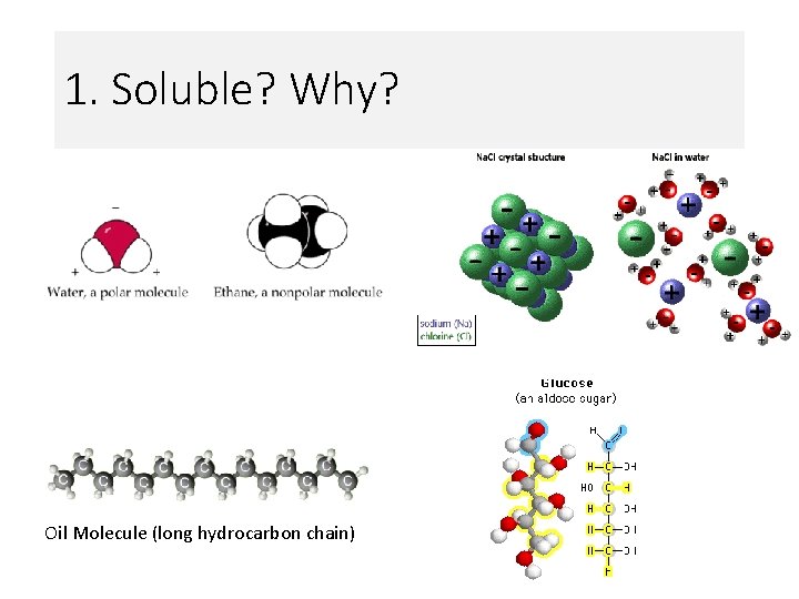 1. Soluble? Why? Oil Molecule (long hydrocarbon chain) 