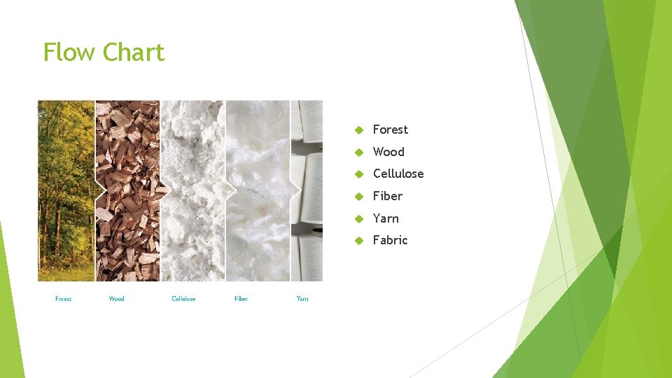 Flow Chart Forest Wood Cellulose Fiber Yarn Fabric 